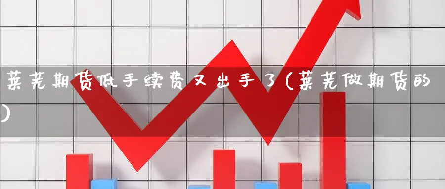 莱芜期货低手续费又出手了(莱芜做期货的)_https://www.nccrq.com_期货软件_第1张