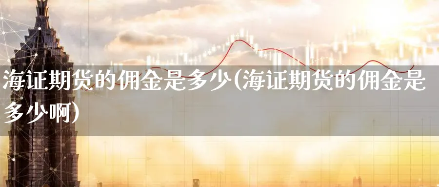 海证期货的佣金是多少(海证期货的佣金是多少啊)_https://www.nccrq.com_股指期货_第1张