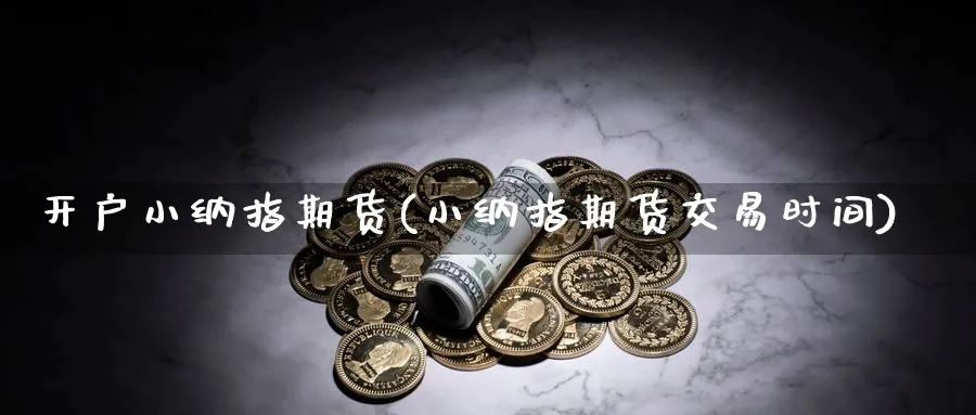 开户小纳指期货(小纳指期货交易时间)_https://www.nccrq.com_期货平台_第1张