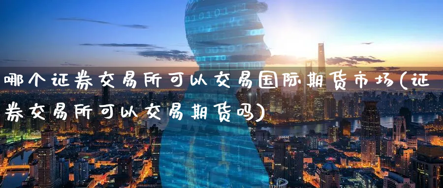哪个证券交易所可以交易国际期货市场(证券交易所可以交易期货吗)_https://www.nccrq.com_黄金期货_第1张