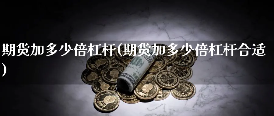 期货加多少倍杠杆(期货加多少倍杠杆合适)_https://www.nccrq.com_恒指期货_第1张