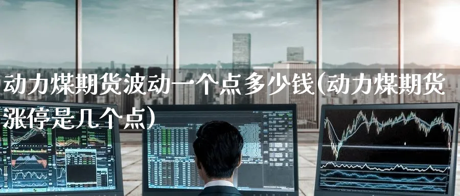 动力煤期货波动一个点多少钱(动力煤期货涨停是几个点)_https://www.nccrq.com_股指期货_第1张