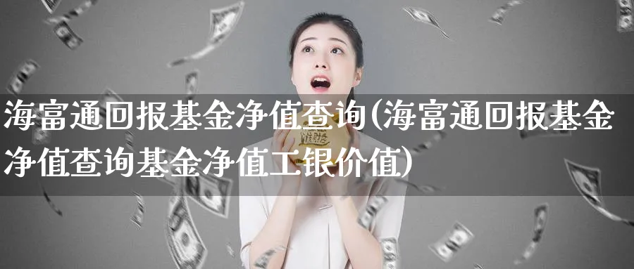 海富通回报基金净值查询(海富通回报基金净值查询基金净值工银价值)_https://www.nccrq.com_恒指期货_第1张