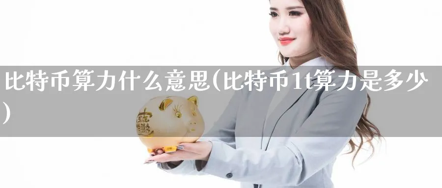 比特币算力什么意思(比特币1t算力是多少)_https://www.nccrq.com_恒指期货_第1张