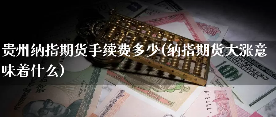 贵州纳指期货手续费多少(纳指期货大涨意味着什么)_https://www.nccrq.com_国际期货_第1张
