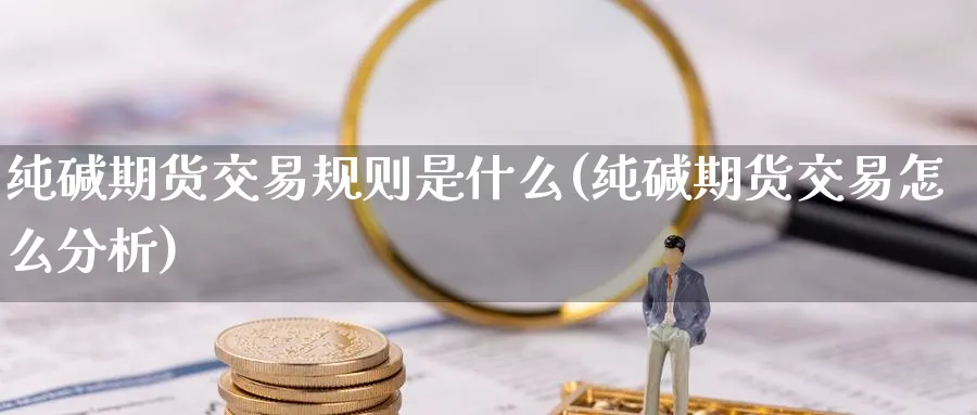 纯碱期货交易规则是什么(纯碱期货交易怎么分析)_https://www.nccrq.com_原油期货_第1张