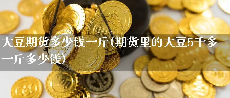 大豆期货多少钱一斤(期货里的大豆5千多一斤多少钱)_https://www.nccrq.com_期货技术_第1张