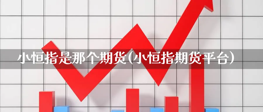 小恒指是那个期货(小恒指期货平台)_https://www.nccrq.com_国际期货_第1张