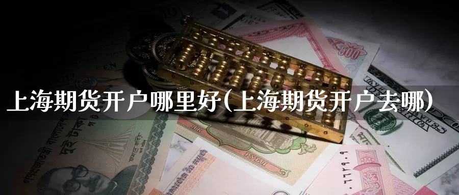 上海期货开户哪里好(上海期货开户去哪)_https://www.nccrq.com_期货品种_第1张