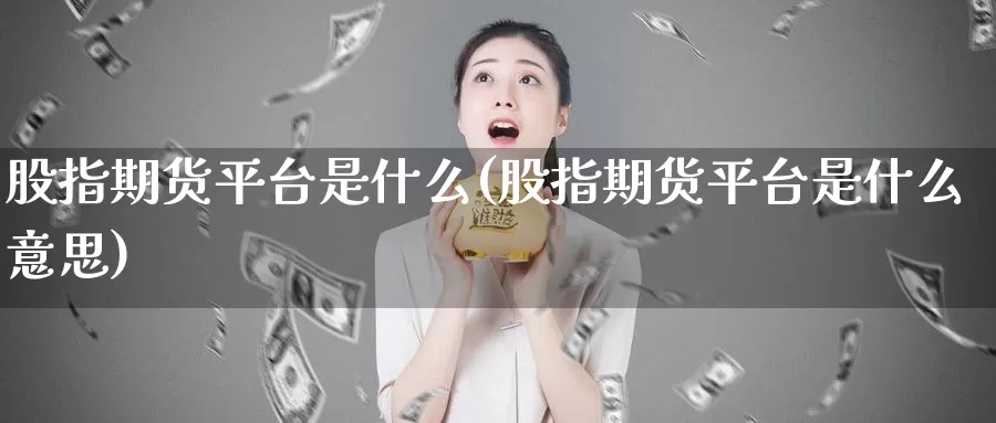 股指期货平台是什么(股指期货平台是什么意思)_https://www.nccrq.com_期货百科_第1张