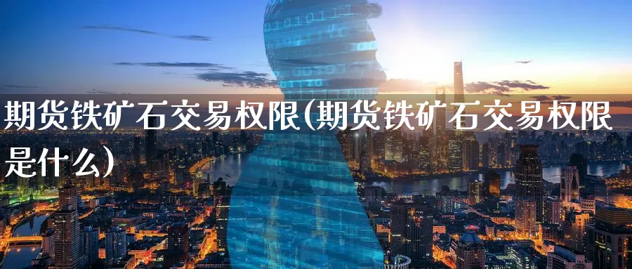 期货铁矿石交易权限(期货铁矿石交易权限是什么)_https://www.nccrq.com_纳指期货_第1张
