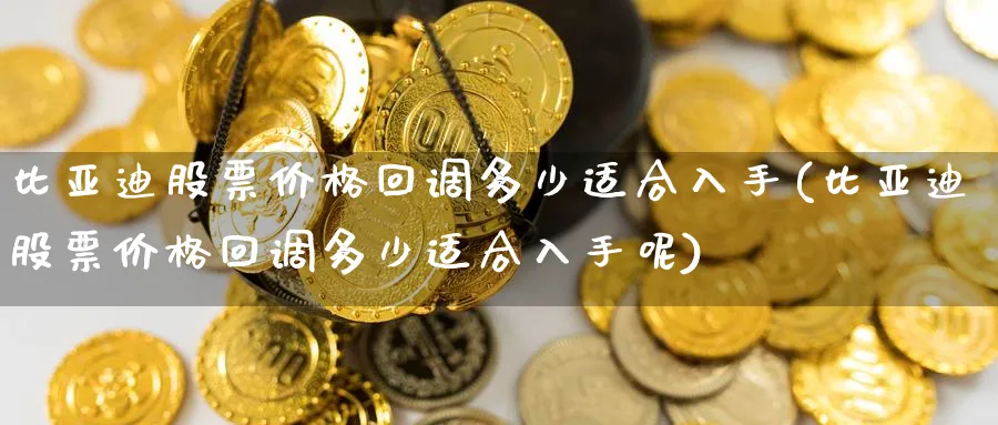 比亚迪股票价格回调多少适合入手(比亚迪股票价格回调多少适合入手呢)_https://www.nccrq.com_恒指期货_第1张