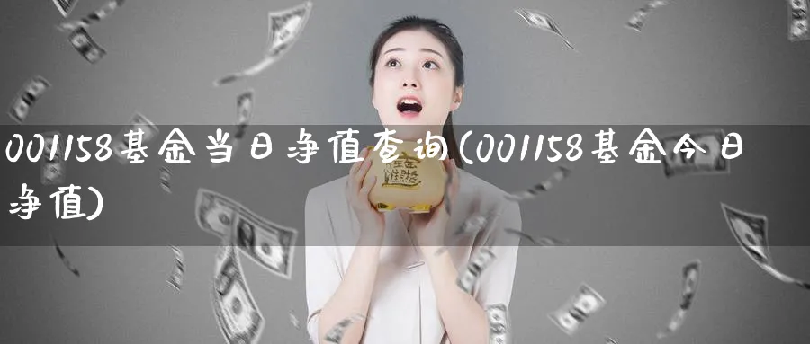 001158基金当日净值查询(001158基金今日净值)_https://www.nccrq.com_恒指期货_第1张