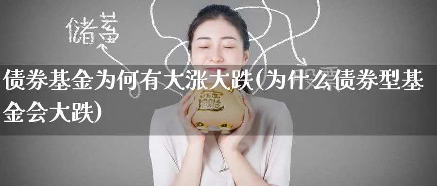 债券基金为何有大涨大跌(为什么债券型基金会大跌)_https://www.nccrq.com_恒指期货_第1张