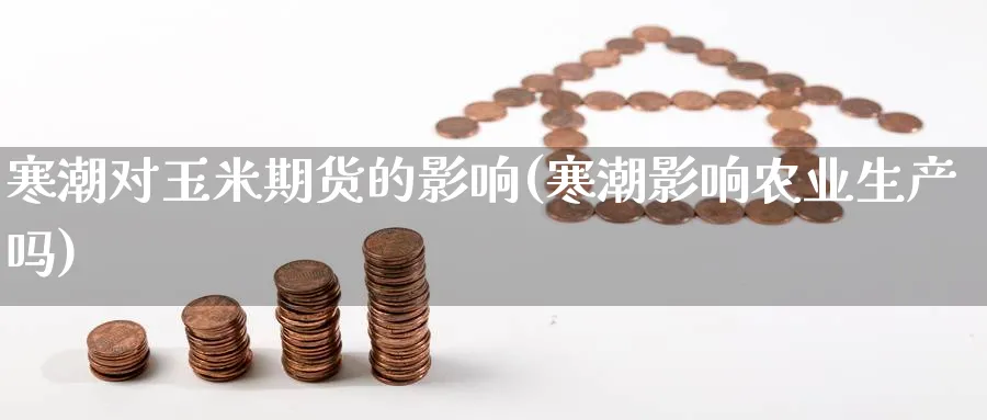 寒潮对玉米期货的影响(寒潮影响农业生产吗)_https://www.nccrq.com_币圈资讯_第1张