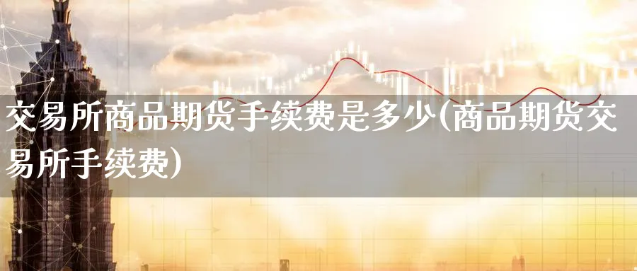 交易所商品期货手续费是多少(商品期货交易所手续费)_https://www.nccrq.com_期货交易_第1张