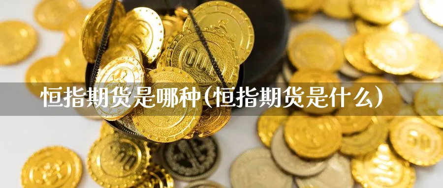恒指期货是哪种(恒指期货是什么)_https://www.nccrq.com_内盘期货_第1张