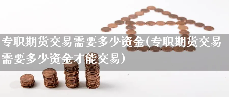 专职期货交易需要多少资金(专职期货交易需要多少资金才能交易)_https://www.nccrq.com_期货品种_第1张