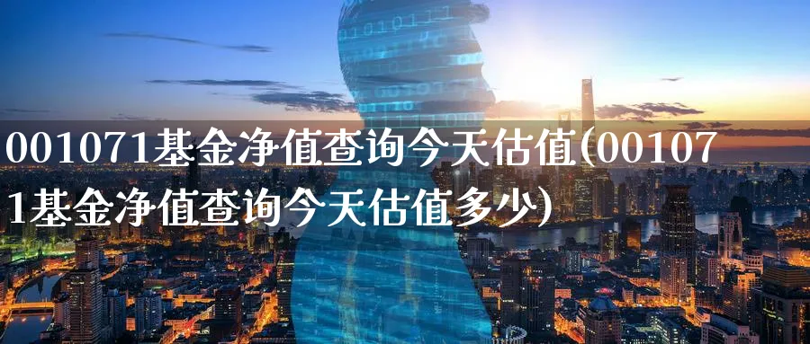 001071基金净值查询今天估值(001071基金净值查询今天估值多少)_https://www.nccrq.com_期货品种_第1张