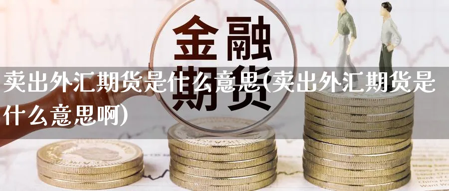 卖出外汇期货是什么意思(卖出外汇期货是什么意思啊)_https://www.nccrq.com_纳指期货_第1张