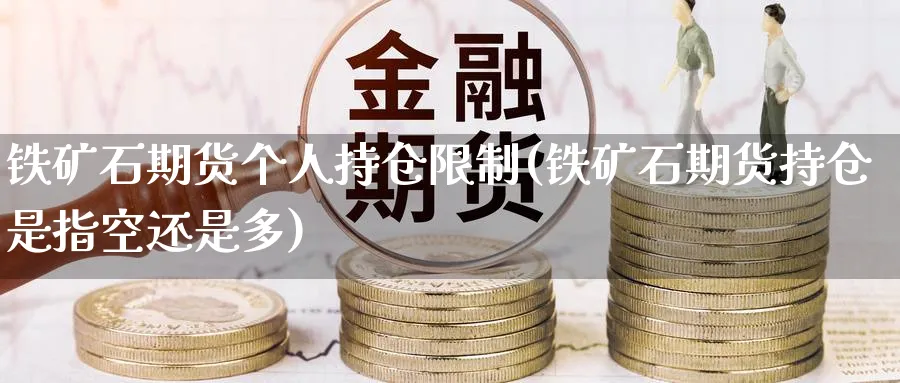 铁矿石期货个人持仓限制(铁矿石期货持仓是指空还是多)_https://www.nccrq.com_期货百科_第1张