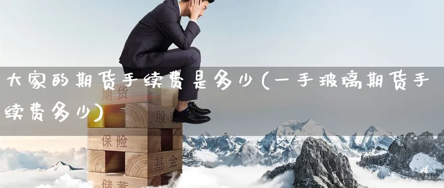 大家的期货手续费是多少(一手玻璃期货手续费多少)_https://www.nccrq.com_黄金期货_第1张