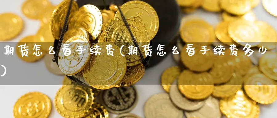 期货怎么看手续费(期货怎么看手续费多少)_https://www.nccrq.com_国际期货_第1张