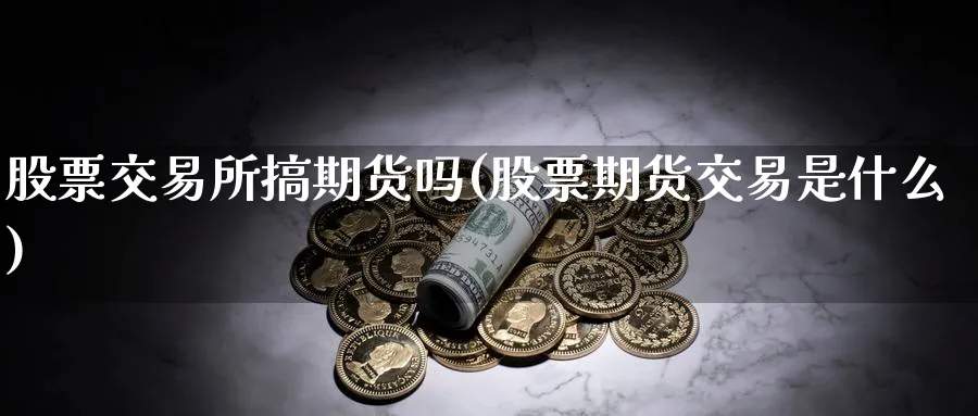 股票交易所搞期货吗(股票期货交易是什么)_https://www.nccrq.com_期货软件_第1张