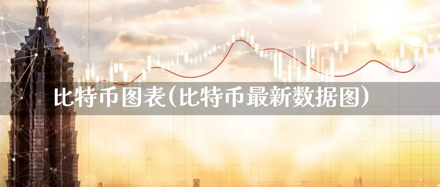 比特币图表(比特币最新数据图)_https://www.nccrq.com_期货品种_第1张