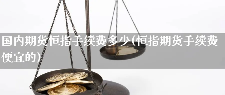 国内期货恒指手续费多少(恒指期货手续费便宜的)_https://www.nccrq.com_期货百科_第1张