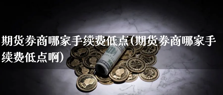 期货券商哪家手续费低点(期货券商哪家手续费低点啊)_https://www.nccrq.com_币圈资讯_第1张