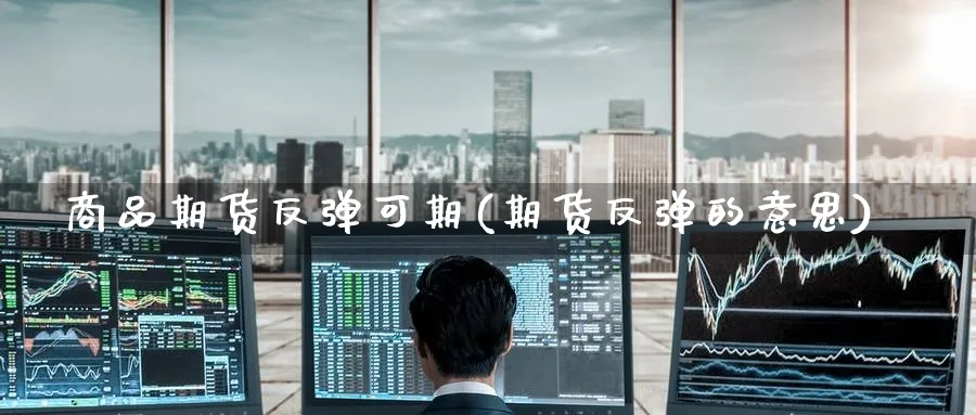 商品期货反弹可期(期货反弹的意思)_https://www.nccrq.com_恒生指数_第1张