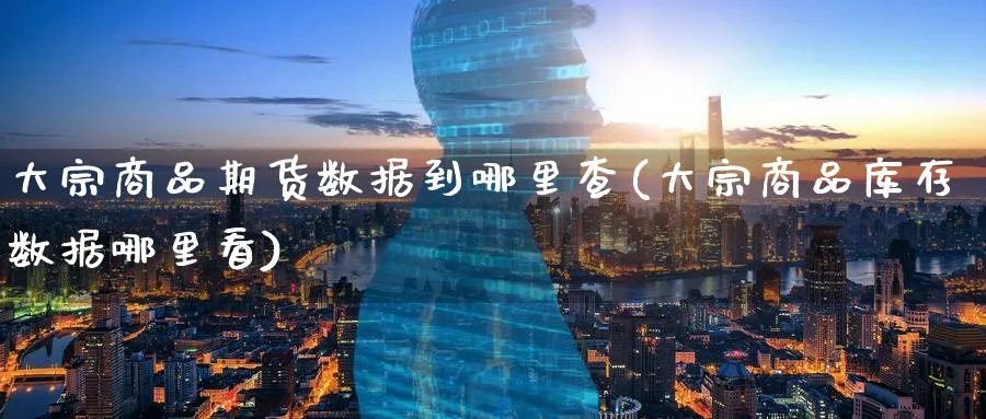 大宗商品期货数据到哪里查(大宗商品库存数据哪里看)_https://www.nccrq.com_恒指期货_第1张