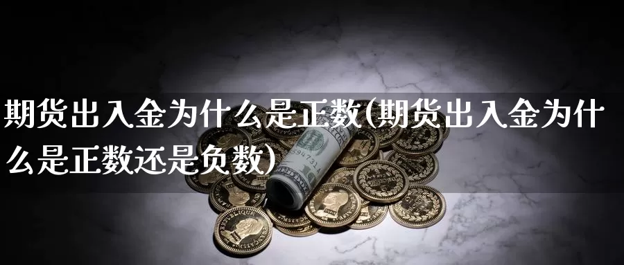 期货出入金为什么是正数(期货出入金为什么是正数还是负数)_https://www.nccrq.com_期货开户_第1张