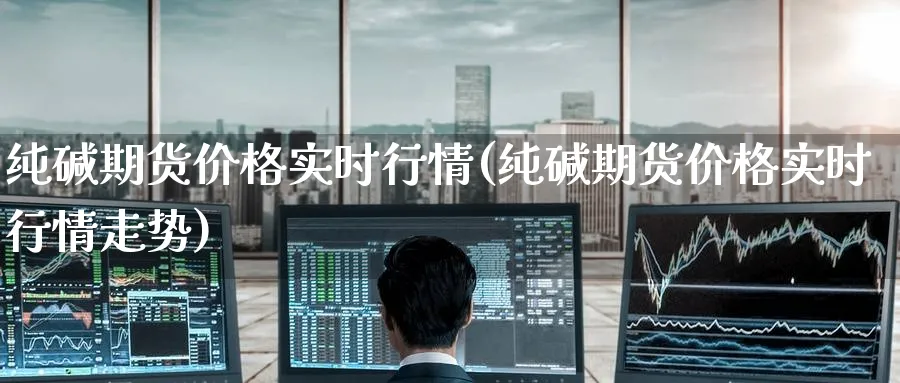 纯碱期货价格实时行情(纯碱期货价格实时行情走势)_https://www.nccrq.com_期货公司_第1张
