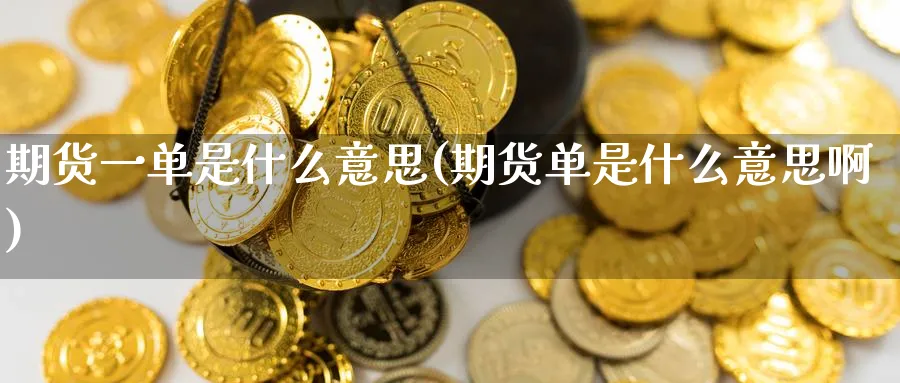 期货一单是什么意思(期货单是什么意思啊)_https://www.nccrq.com_期货平台_第1张