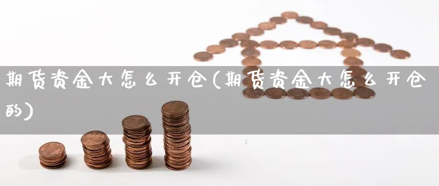 期货资金大怎么开仓(期货资金大怎么开仓的)_https://www.nccrq.com_期货品种_第1张