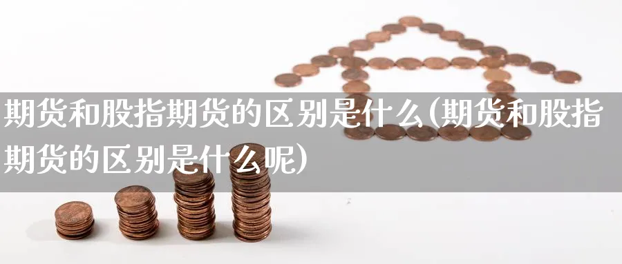 期货和股指期货的区别是什么(期货和股指期货的区别是什么呢)_https://www.nccrq.com_内盘期货_第1张