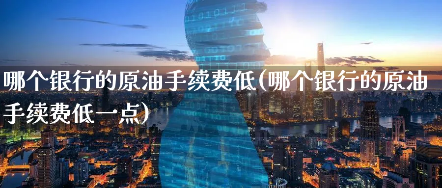 哪个银行的原油手续费低(哪个银行的原油手续费低一点)_https://www.nccrq.com_股指期货_第1张