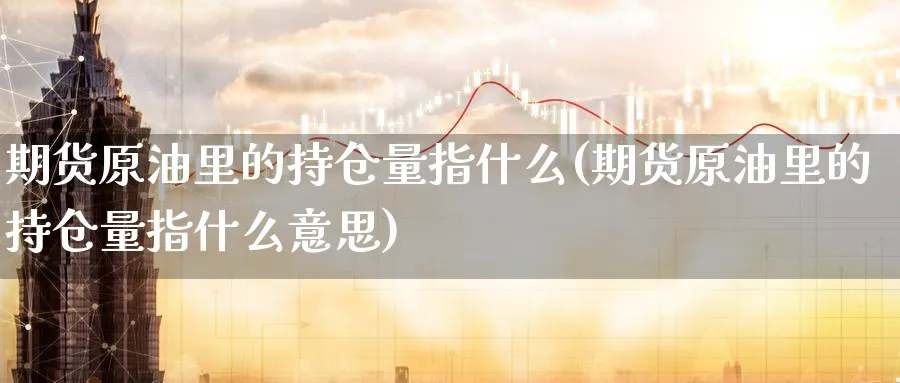 期货原油里的持仓量指什么(期货原油里的持仓量指什么意思)_https://www.nccrq.com_恒生指数_第1张