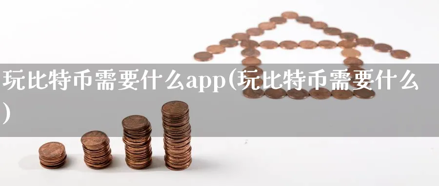 玩比特币需要什么app(玩比特币需要什么)_https://www.nccrq.com_原油期货_第1张