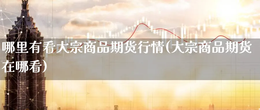 哪里有看大宗商品期货行情(大宗商品期货在哪看)_https://www.nccrq.com_期货技术_第1张