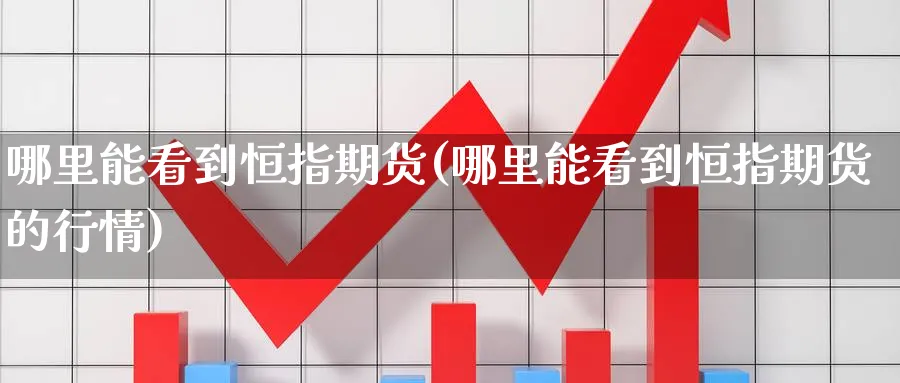 哪里能看到恒指期货(哪里能看到恒指期货的行情)_https://www.nccrq.com_原油期货_第1张