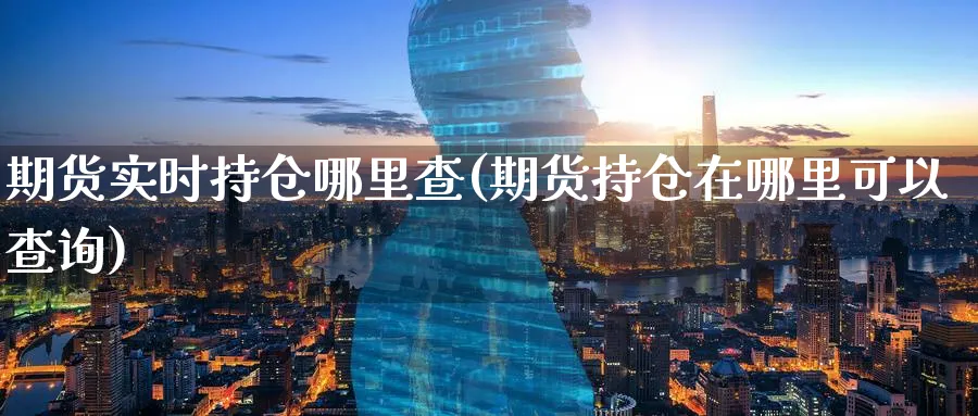 期货实时持仓哪里查(期货持仓在哪里可以查询)_https://www.nccrq.com_内盘期货_第1张