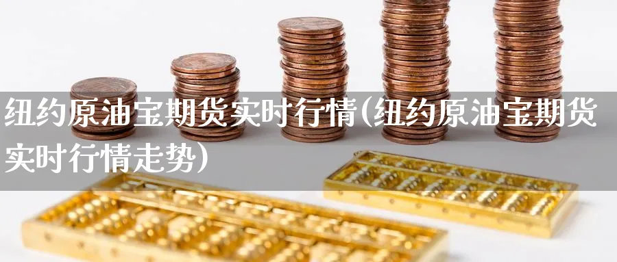 纽约原油宝期货实时行情(纽约原油宝期货实时行情走势)_https://www.nccrq.com_国际期货_第1张