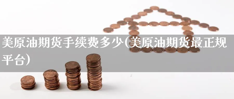 美原油期货手续费多少(美原油期货最正规平台)_https://www.nccrq.com_国际期货_第1张