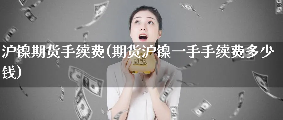 沪镍期货手续费(期货沪镍一手手续费多少钱)_https://www.nccrq.com_股指期货_第1张