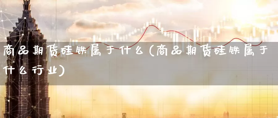 商品期货硅铁属于什么(商品期货硅铁属于什么行业)_https://www.nccrq.com_原油期货_第1张
