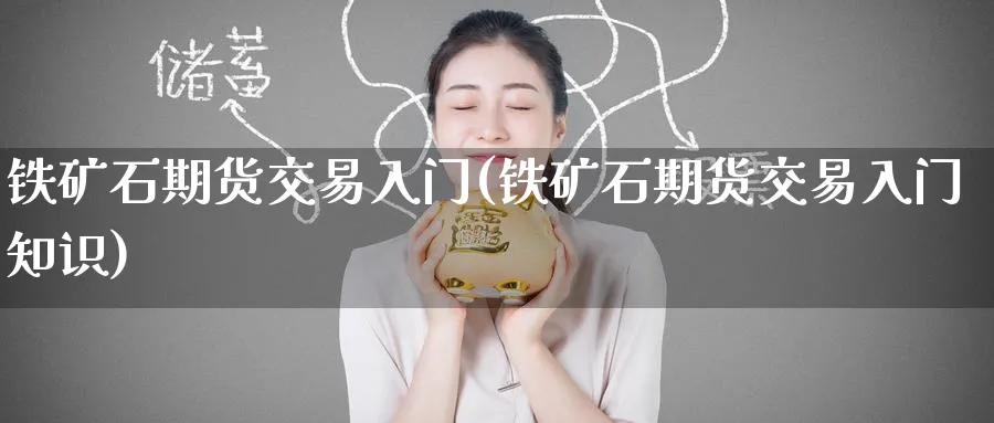 铁矿石期货交易入门(铁矿石期货交易入门知识)_https://www.nccrq.com_纳指期货_第1张