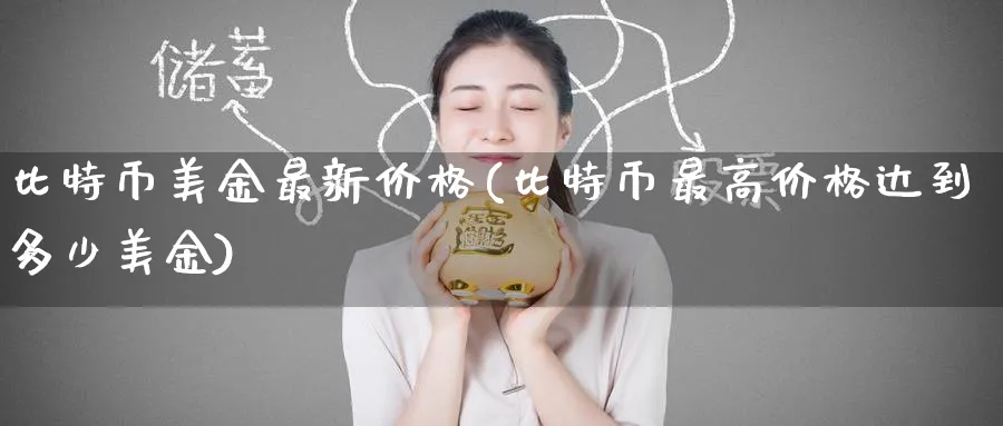 比特币美金最新价格(比特币最高价格达到多少美金)_https://www.nccrq.com_恒指期货_第1张